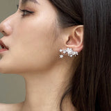 Shiny Star 925 silver needle earrings with AAA zircon stones for women, HSF jewelry”】【