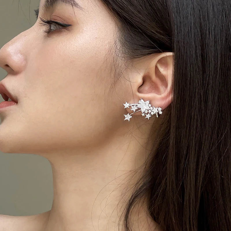 Shiny Star 925 silver needle earrings with AAA zircon stones for women, HSF jewelry”】【