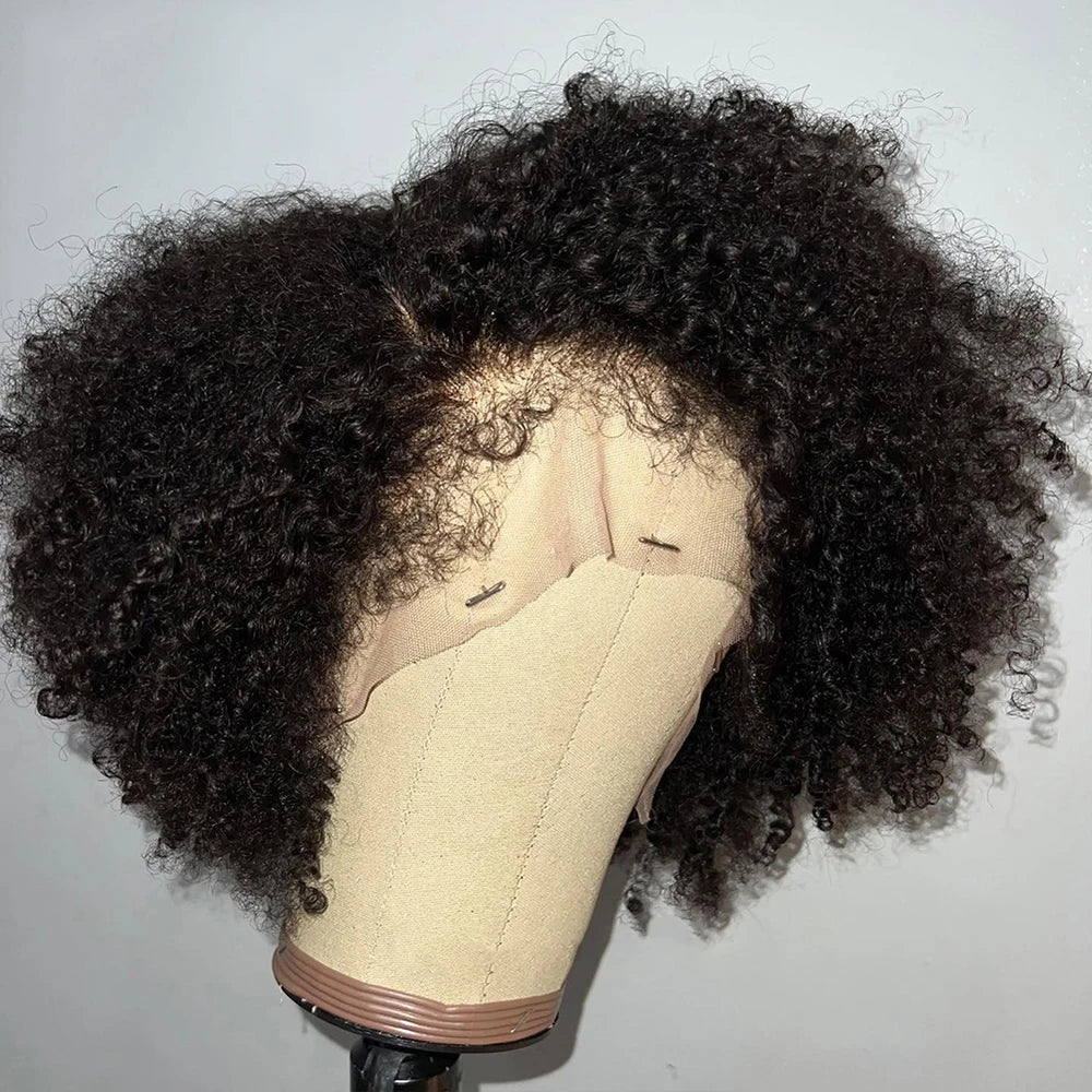 Afro Kinky Curly Glueless Wigs Human Hair 4C Edges 13x6 Lace Frontal Wig Wear Go 4x4 HD Lace Closure Wigs For Women Preplucked