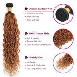 12A Ombre 1B 99J Brown Water Curly 3 Bundles With HD Lace Closure Colored Remy Malaysia Hair Wet And Wavy 3 Bundles With Closure
