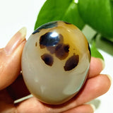 Natural Stone Waterplant Plant Small Tree Agate Palm Stone Meditation Spiritual Yoga Cure Feng Shui Crystal Room Ornament
