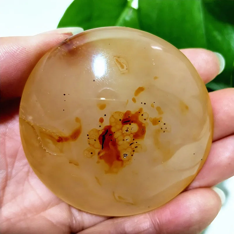 Natural Stone Waterplant Plant Small Tree Agate Palm Stone Meditation Spiritual Yoga Cure Feng Shui Crystal Room Ornament