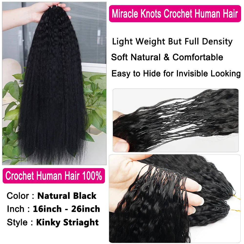 12A Kinky Straight Crochet Human Hair Bundles Miracle Knots Crochet Hair Human Hair Crochet Braids 16-26 Inch Burmese Curly Feather Crochet Human Hair Extension Pre Separated Knotless Reusable Crochet Human Hair For Black Wom