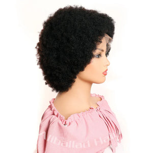 Afro 13x4 Lace Front Wig Human Hair Afro Kinky Curly Wig With Baby Hair Pre-Plucked Fluffy Full Lace Wigs For Women