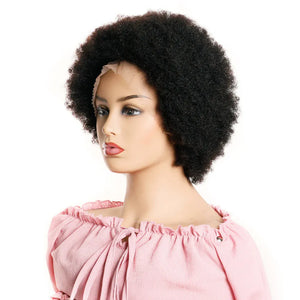 Afro 13x4 Lace Front Wig Human Hair Afro Kinky Curly Wig With Baby Hair Pre-Plucked Fluffy Full Lace Wigs For Women