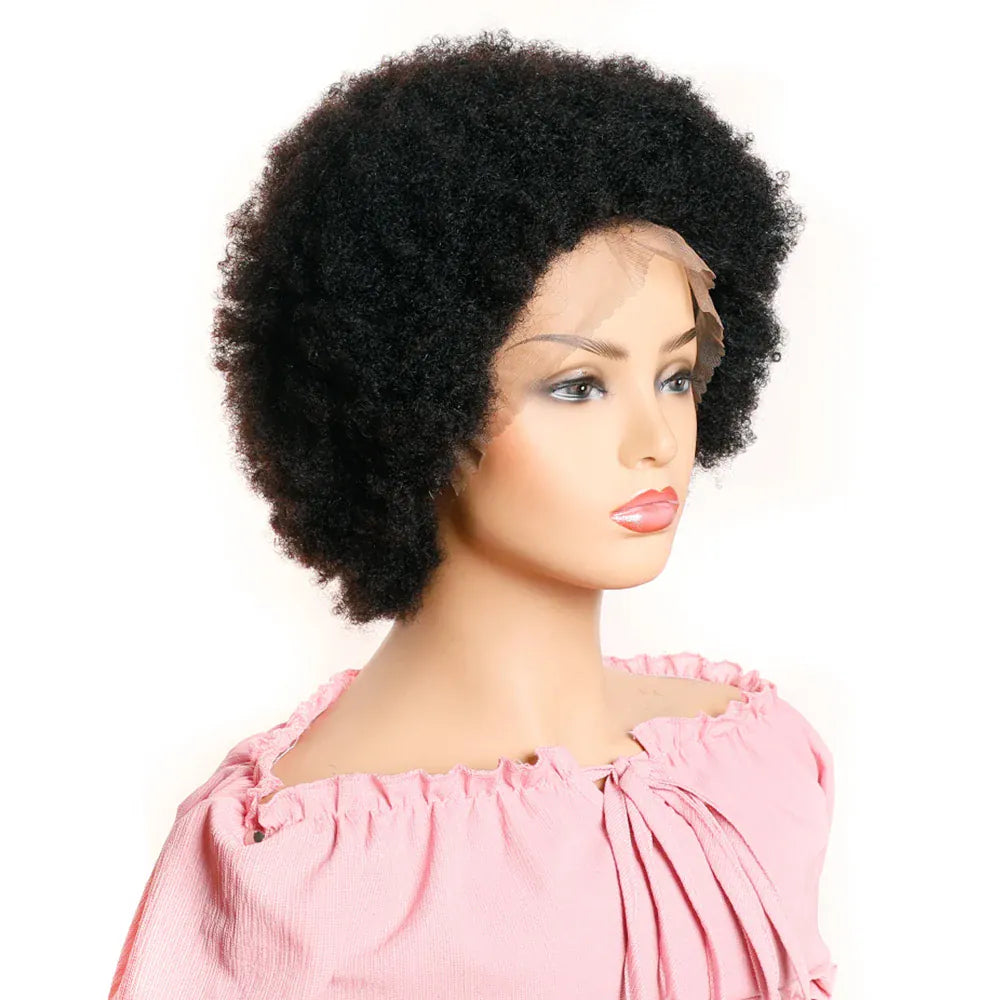 Afro 13x4 Lace Front Wig Human Hair Afro Kinky Curly Wig With Baby Hair Pre-Plucked Fluffy Full Lace Wigs For Women