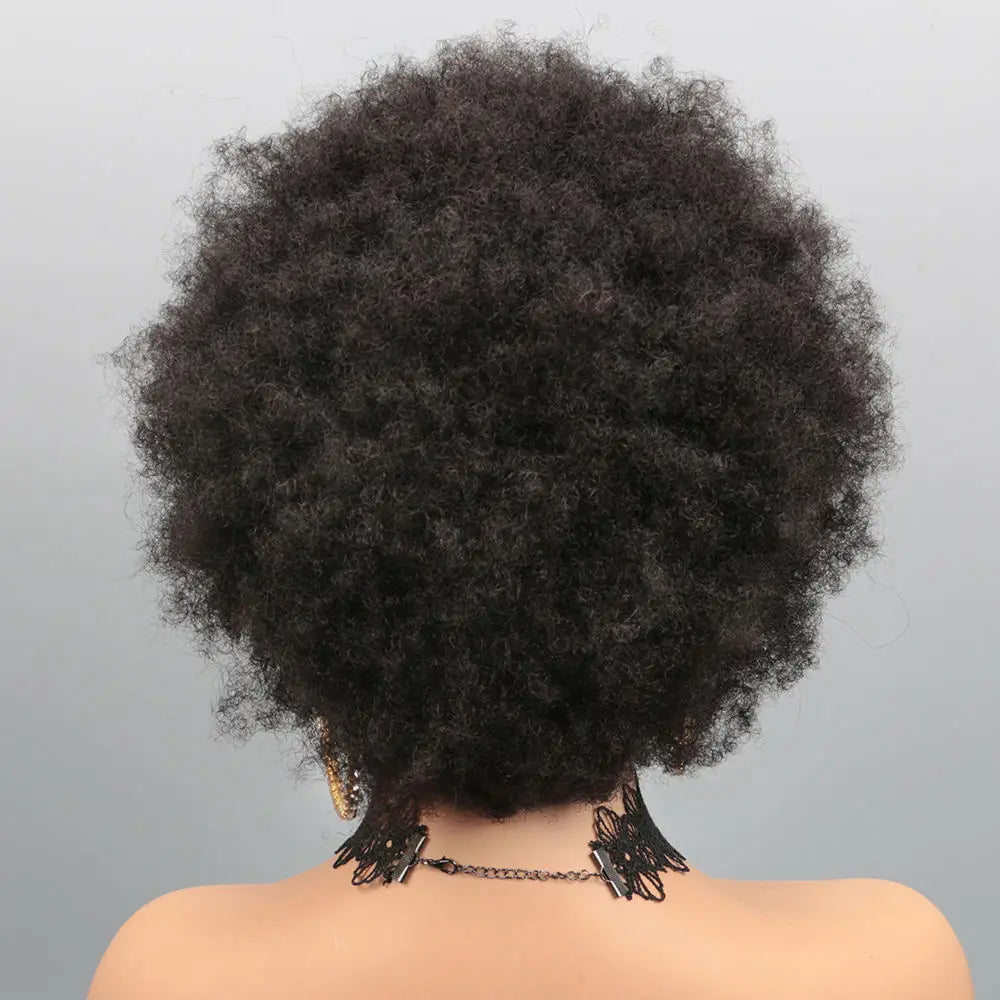Afro Kinky Curly 13x4 Lace Front Human Hair Wigs 180% Density Short Pixie Cut Wig For Women Short Curly Pixie Remy Wig 6 Inch