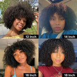 (Aphrodite) Short Curly Bob Human Hair Wig with Bangs, Glueless Brazilian Ready to Wear Style