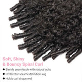Burmese Curly Remy Human Hair Wig, 13x4 HD Transparent Lace Front, 250% Density, Pre-Plucked