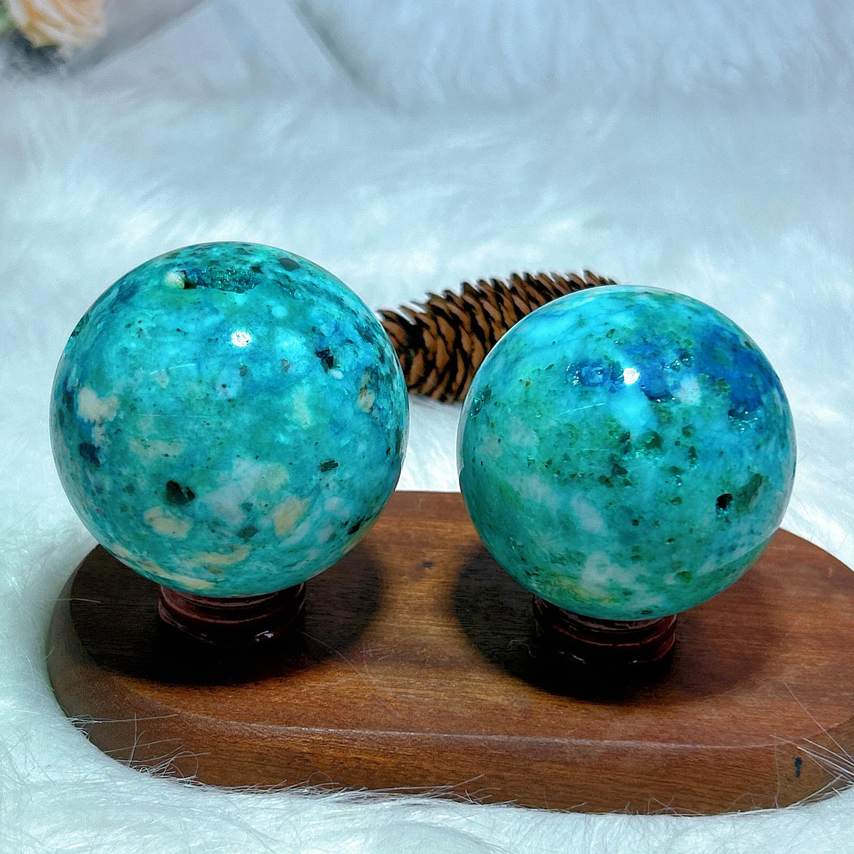 Natural Crystals Phoenix With Black Tourmaline Sphere Ball Geode Druzy Mineral Home Decorations Stone Gemstones Room Decor Ore