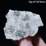 Natural Grape Agate Chalcedony Rough Specimen Sulawesi Indonesia Botryoidal Crystal Cluster Healing Crystal Ornament