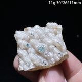 Natural Grape Agate Chalcedony Rough Specimen Sulawesi Indonesia Botryoidal Crystal Cluster Healing Crystal Ornament