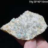 Natural Grape Agate Chalcedony Rough Specimen Sulawesi Indonesia Botryoidal Crystal Cluster Healing Crystal Ornament