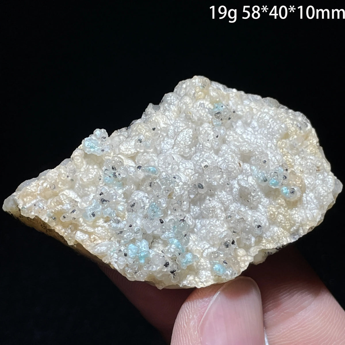 Natural Grape Agate Chalcedony Rough Specimen Sulawesi Indonesia Botryoidal Crystal Cluster Healing Crystal Ornament