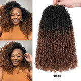 (Vander Built) Passion Twist Crochet Hair, Ombre Synthetic Pre-Looped, Pre-Twisted Hair Extensions 8"-14"