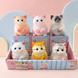 Realistic cat squishy fidget toy with soft flocked surface, slow-rising sensory toy perfect for stress relief and tactile play.